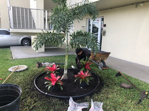 King Landscaping crew installing a garden bed