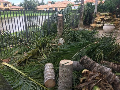 King Landscaping project